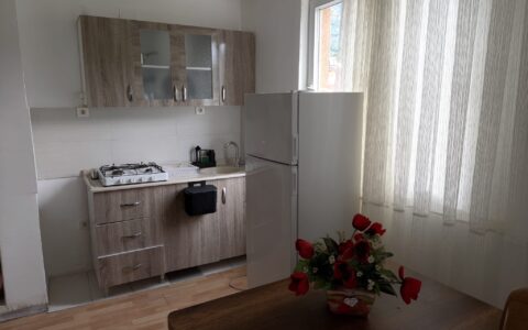 izol apart evleri adrasan kiralım apart evleri (21)